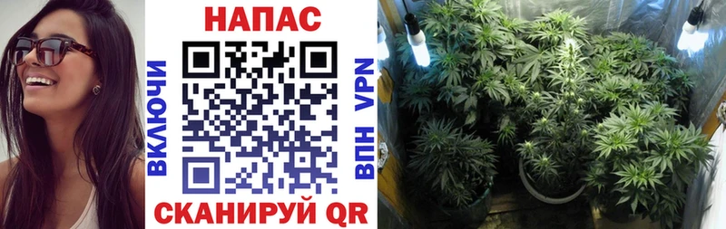 Купить наркотик Волгодонск Конопля COCAIN АМФ Меф мяу мяу Гашиш Альфа ПВП