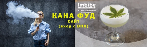 индика Гусев
