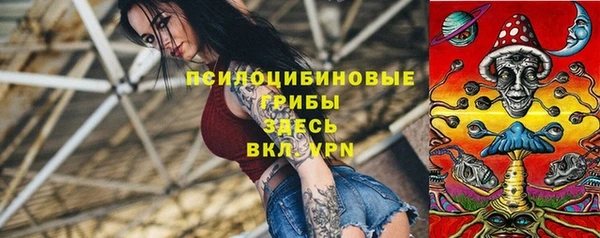 мет Дмитров