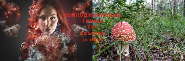 кокаин перу Дмитриев