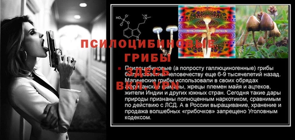 мяу мяу мука Дмитровск