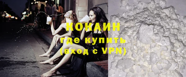 мет Дмитров