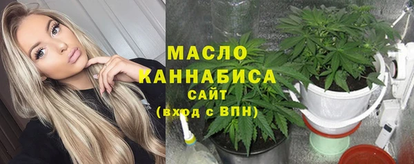 мет Дмитров