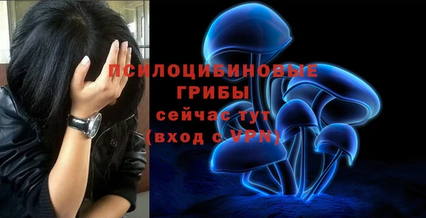 мяу мяу мука Дмитровск