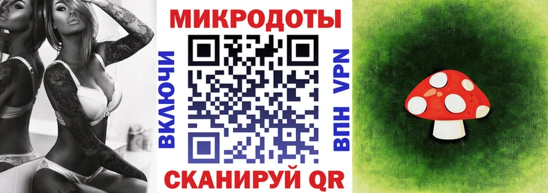 Галлюциногенные грибы Psilocybe  дарнет шоп  ссылка на мегу зеркало  Волгодонск 